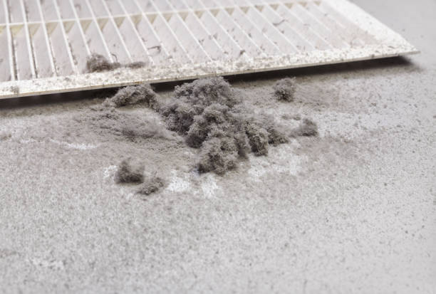 Best HVAC Duct Inspection Services  in Westke, LA
