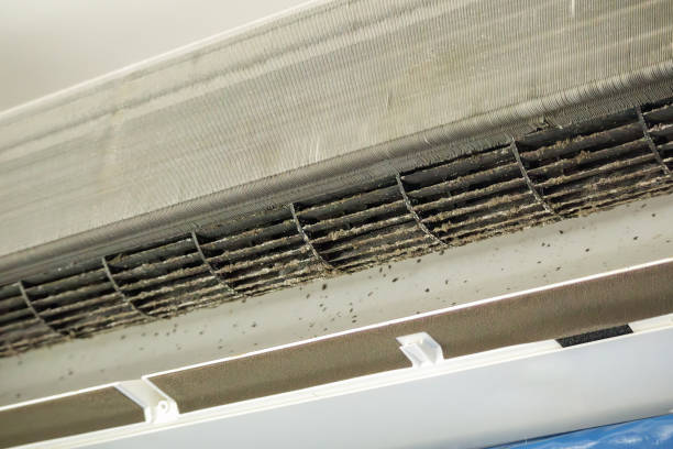 Best Commercial Air Duct Cleaning  in Westke, LA