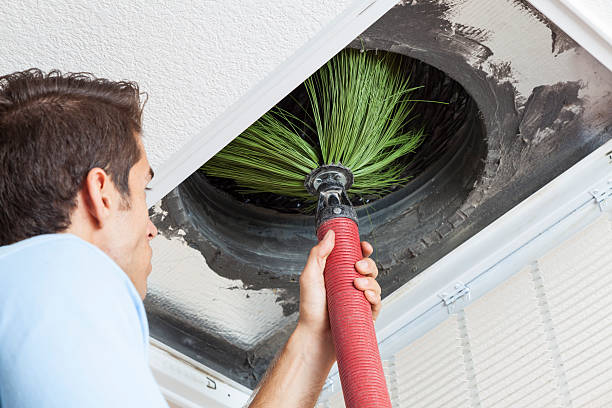 Best Air Duct Cleaning Near Me  in Westke, LA
